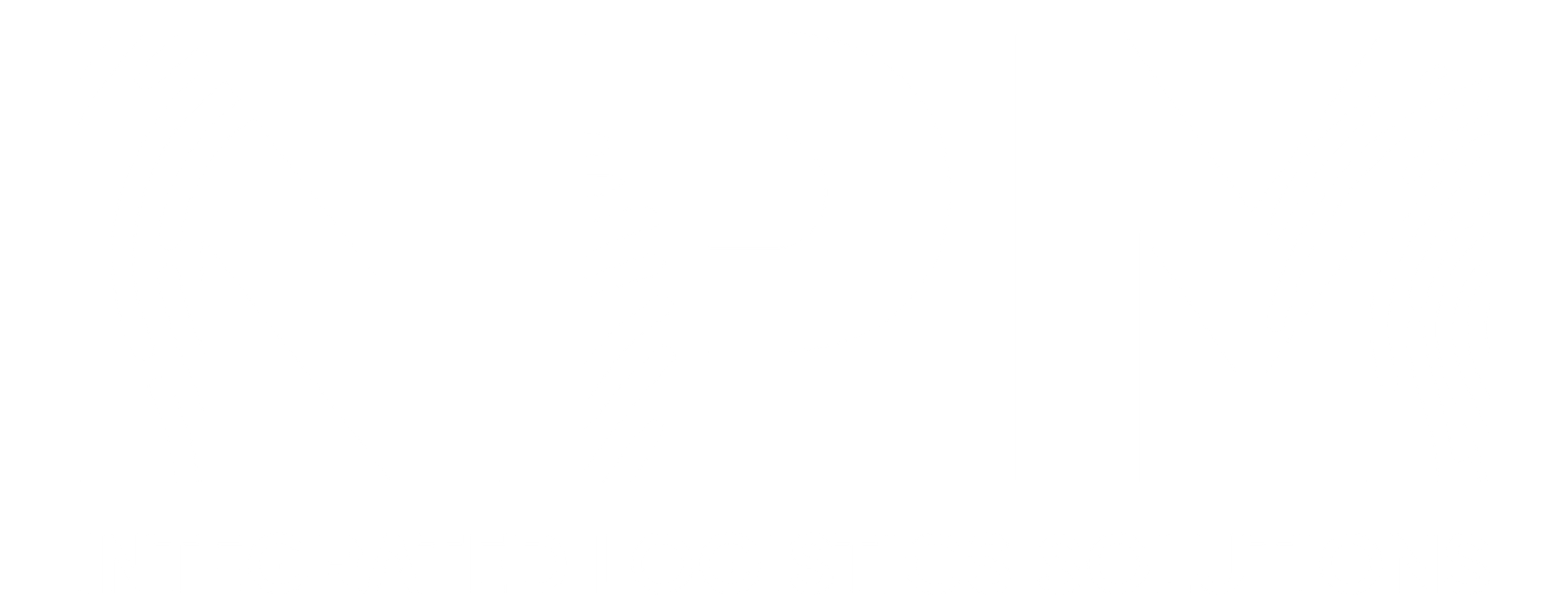 NPM 